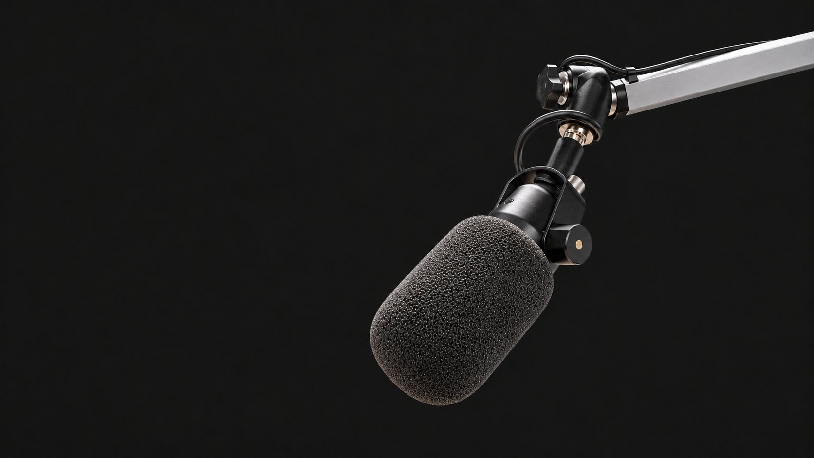 Studio microphone on a boom arm
